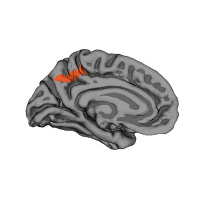 Imágenes muestran el impacto que genera desórdenes de stress post traumático en sobrevivientes de terremotos Stress