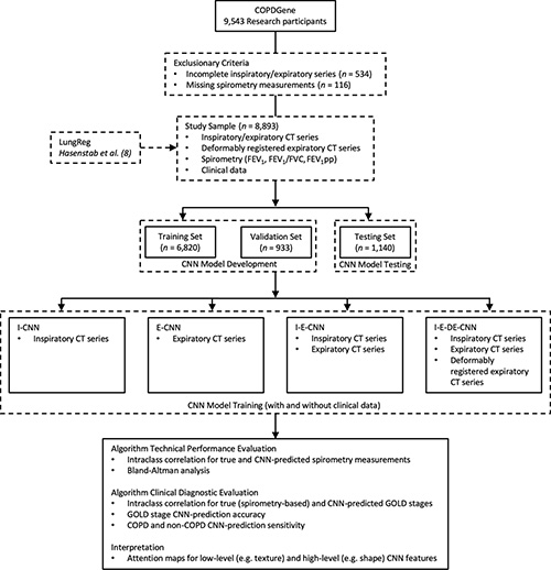 Figura 1. Diagrama de flujo de selección de participantes y diseño del estudio. CNN = red neuronal convolucional, EPOC = enfermedad pulmonar obstructiva crónica, DE = imagen de TC espiratoria registrada de forma deformable, E = imagen de TC espiratoria, FEV1 = volumen espiratorio forzado en 1 segundo, FEV1pp = porcentaje previsto del volumen espiratorio forzado en 1 segundo, FVC = capacidad vital forzada, GOLD = Iniciativa global para la enfermedad pulmonar obstructiva crónica, I = imagen de TC inspiratoria.