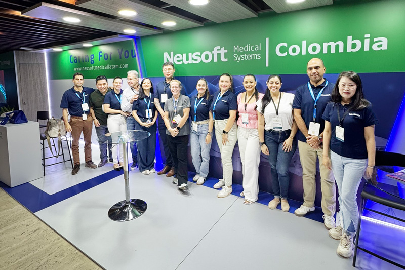 12 - Neusoft.
